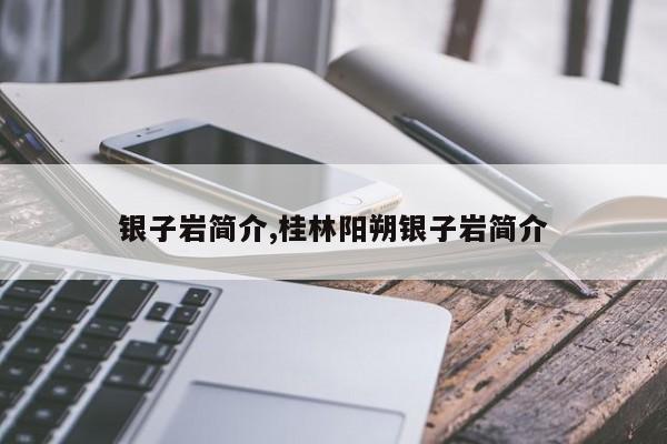 银子岩简介,桂林阳朔银子岩简介