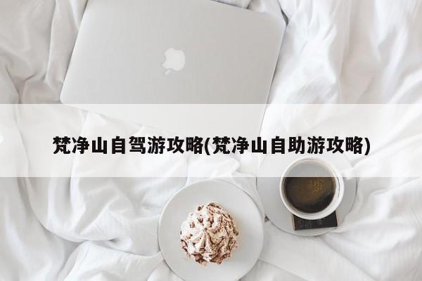 梵净山自驾游攻略(梵净山自助游攻略)