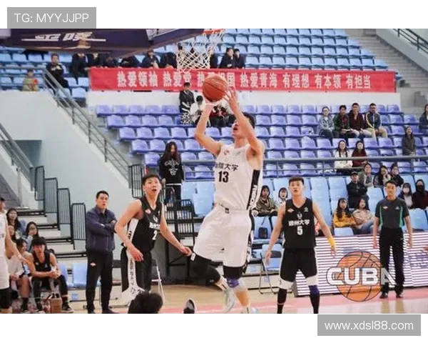 西藏籍CBA球员的成长经历与地域篮球发展现状